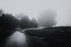 Morning-Fog-Montrose-Harbor-2013