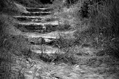 Shadows-Path-Montrose-Beach-5-30-2013-Copy