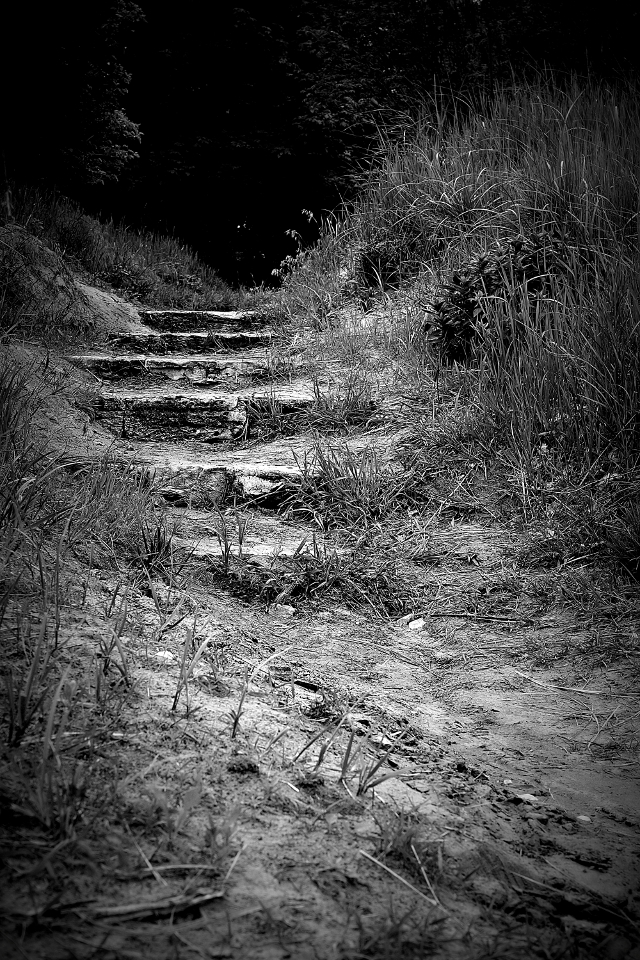 Shadow's Path, Montrose Beach - 5-30-2013