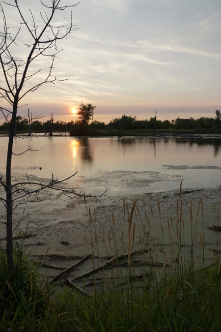 1.Full Auto 1160- f6.3-ISO-100