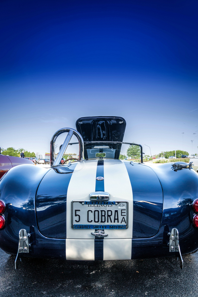 Blue 1965 COBRA, Aurora Car Show, 8-1-2013-4 (1 of 1) - Copy