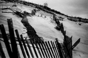 Indiana Dunes, Spring 2013