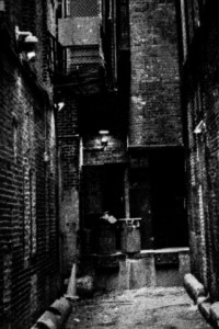 This crop shows the detail in the dark area.