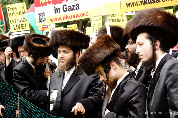 Jews for Palestine 2- Palestinian National March on the White House, 8-2-2014 (1 of 1)