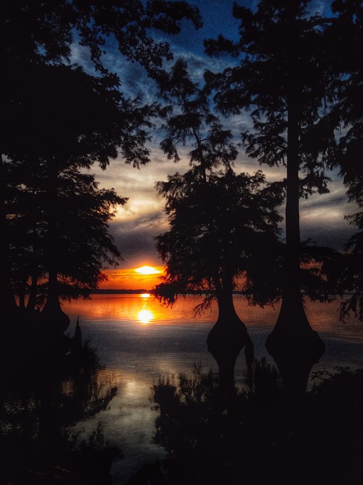 Iron Horse Adventures: Highway 51 Blues - Tennessee Sunset