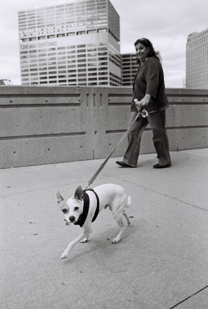 Walk The Dog Street Photography