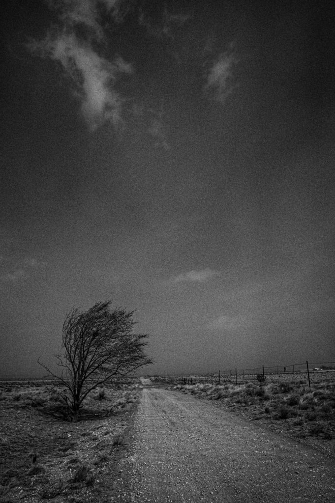 new mexico photo